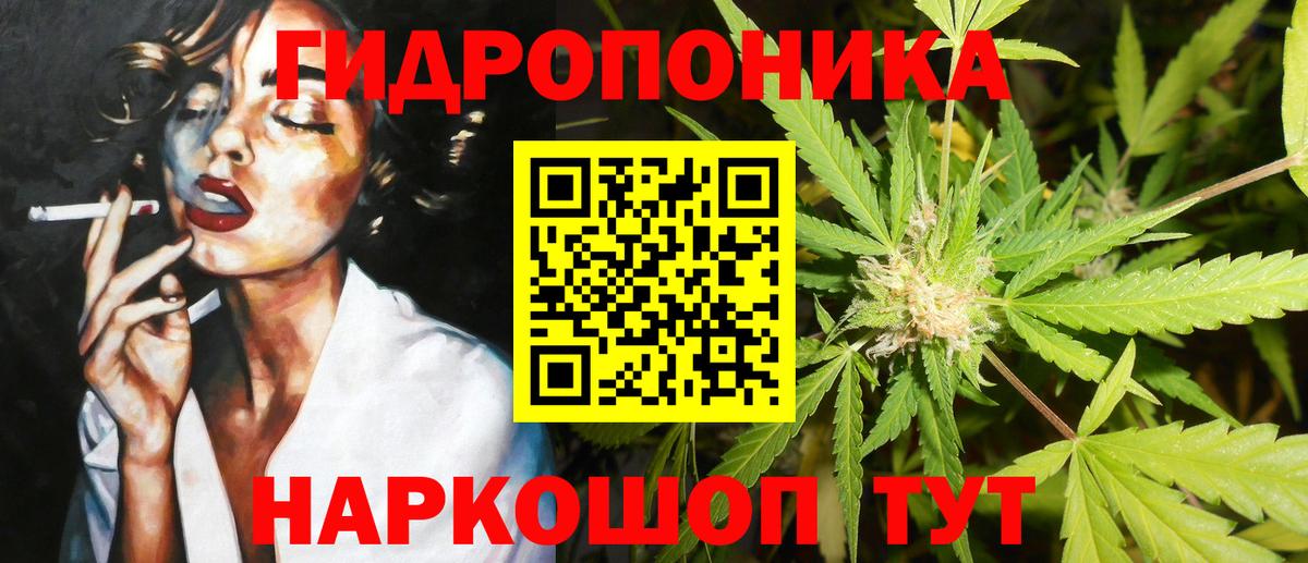 Каннабис сатива Белореченск